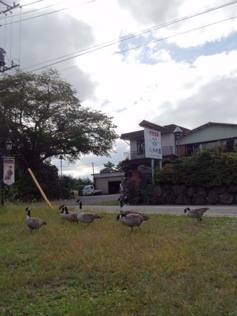 Yagisakien Hotel Fujikawaguchiko Buitenkant foto